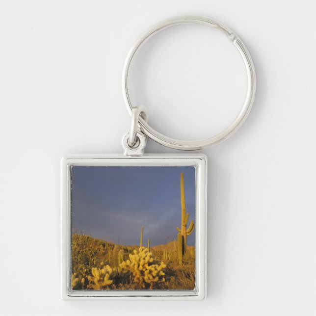 saguaro cacti, Carnegiea gigantea, and teddy Keychain (Front)