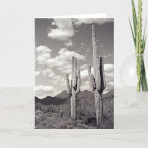 Saguaro Cacti Sonoran Desert Photo Greeting Card
