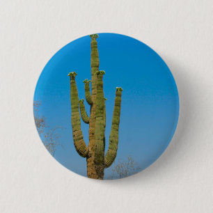 Saguaro Cactus 2 Inch Round Button