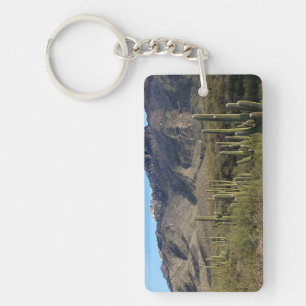 Saguaro Cactus and Catalina Mountains, Tucson AZ Keychain