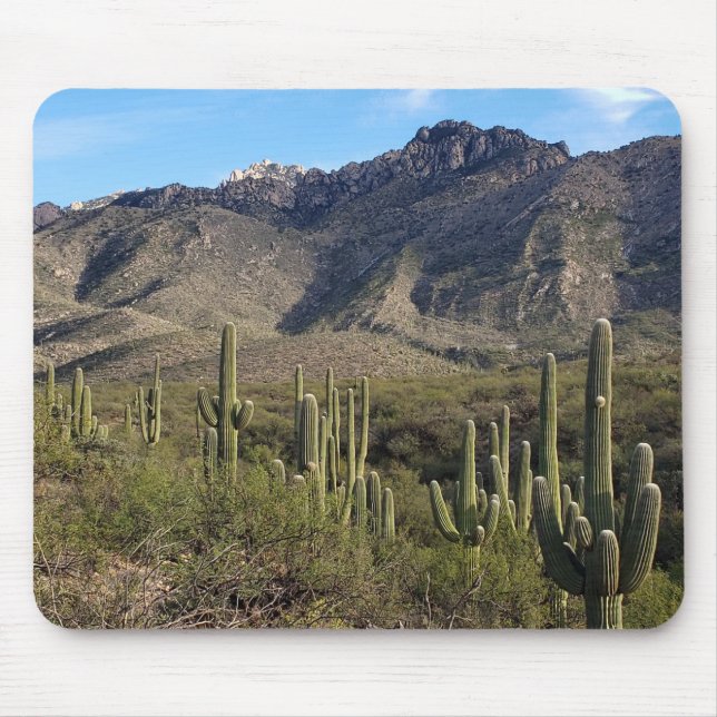Saguaro Cactus and Catalina Mountains, Tucson AZ Mouse Pad (Front)