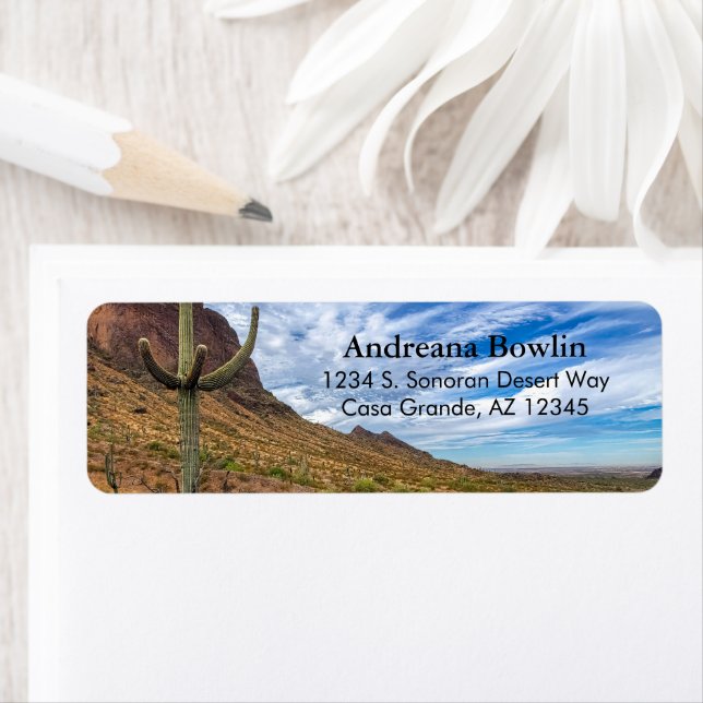 Saguaro Cactus Arizona Ciel bleu nuages dramatique (En situation)