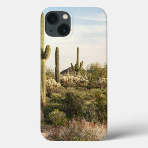 Saguaro Cactus, Arizona,USA iPhone 13 Case