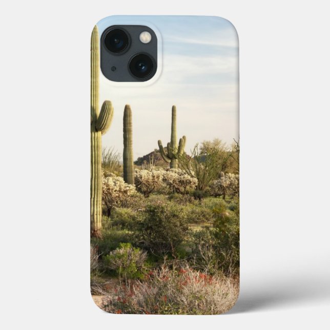 Saguaro Cactus, Arizona,USA Case-Mate iPhone Case (Back)