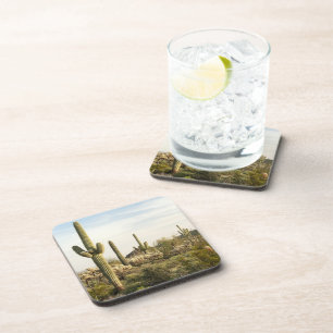Saguaro Cactus, Arizona,USA Coaster