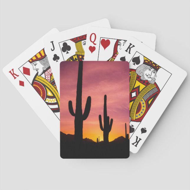 Saguaro cactus at sunrise, Arizona Playing Cards (Back)