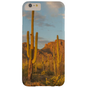 Saguaro cactus at sunset, Arizona Barely There iPhone 6 Plus Case