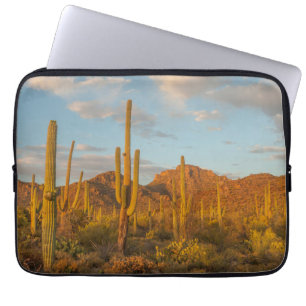 Saguaro cactus at sunset, Arizona Laptop Sleeve