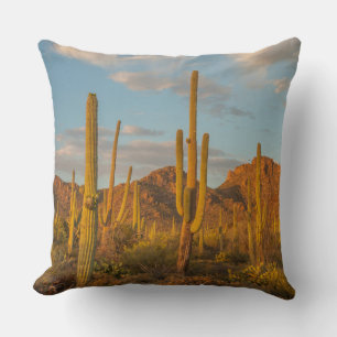 Saguaro cactus at sunset, Arizona Throw Pillow