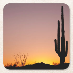 Saguaro Cactus at Sunset Square Paper Coaster