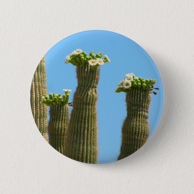 Saguaro Cactus Blossoms 2 Inch Round Button (Front)