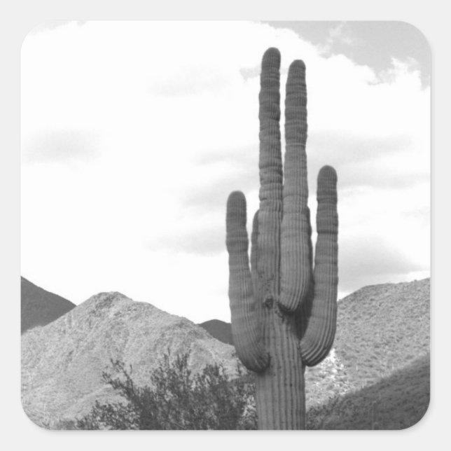 Saguaro Cactus Désert Autocollants personnalisés (Devant)