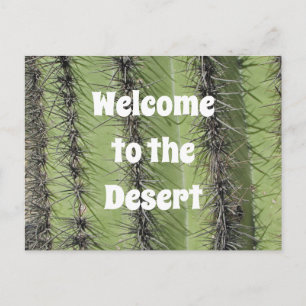 Saguaro Cactus Desert Photo Realty Appreciation Postcard
