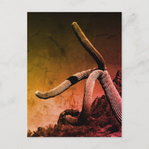 Saguaro Cactus Fine Art Photograph Postcard