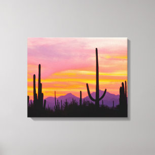 Saguaro Cactus Forest at Sunset Canvas Print