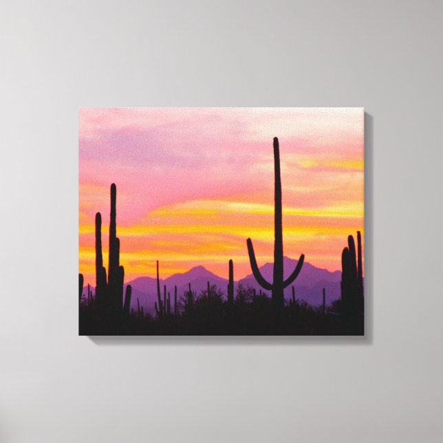 Saguaro Cactus Forest at Sunset Canvas Print (Front)