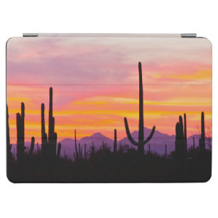 Saguaro Cactus Forest at Sunset iPad Air Cover