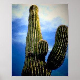 Saguaro Cactus High Postcard Poster