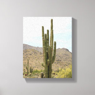 Saguaro Cactus in the Arizona Desert Colour 8x10 Canvas Print