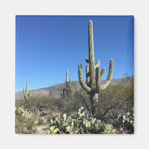 Saguaro Cactus Magnet