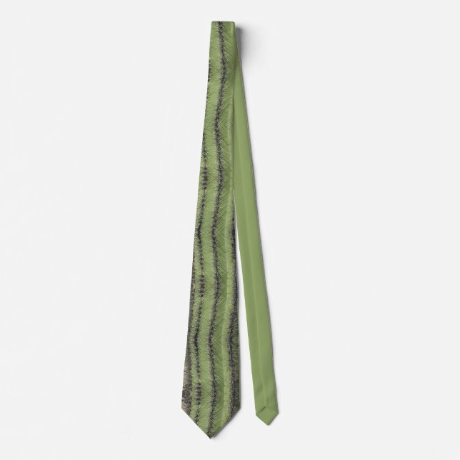 Saguaro Cactus Needles Vertical Stripe Southwest Tie (Front)
