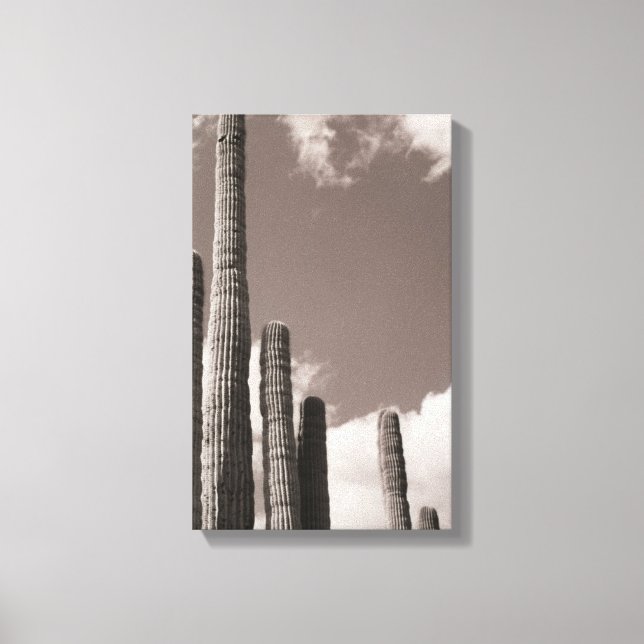 Saguaro Cactus Pipes Desert B&W Photo Art Prints (Front)