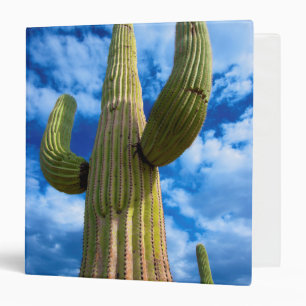 Saguaro cactus portrait, Arizona Binder
