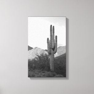 Saguaro Cactus Sonoran Desert B&W Photo Art Print