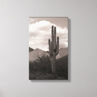 Saguaro Cactus Sonoran Desert B&W Photo Art Prints