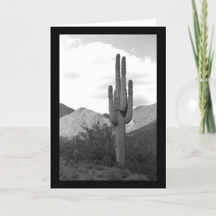 Saguaro Cactus Sonoran Desert Photo Greeting Cards