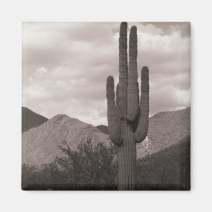 Saguaro Cactus Sonoran Desert Refrigerator Magnets