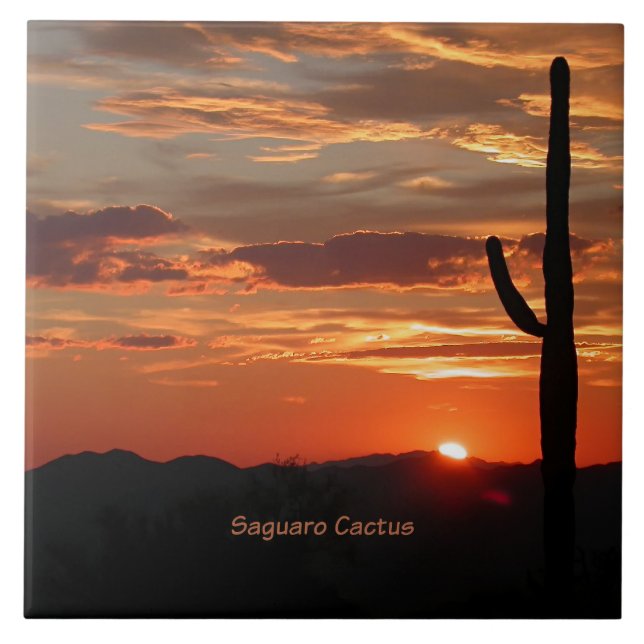 Saguaro Cactus, Sunset, Tile (Front)