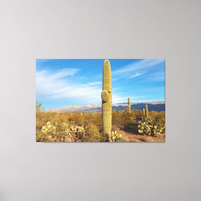 Saguaro Canvas Print (Front)