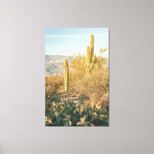 Saguaro Forest Canvas Print