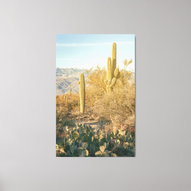 Saguaro Forest Canvas Print (Front)