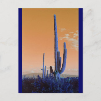 Saguaro in Blue Postcard