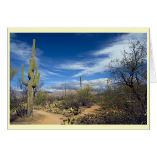 Saguaro Landscape