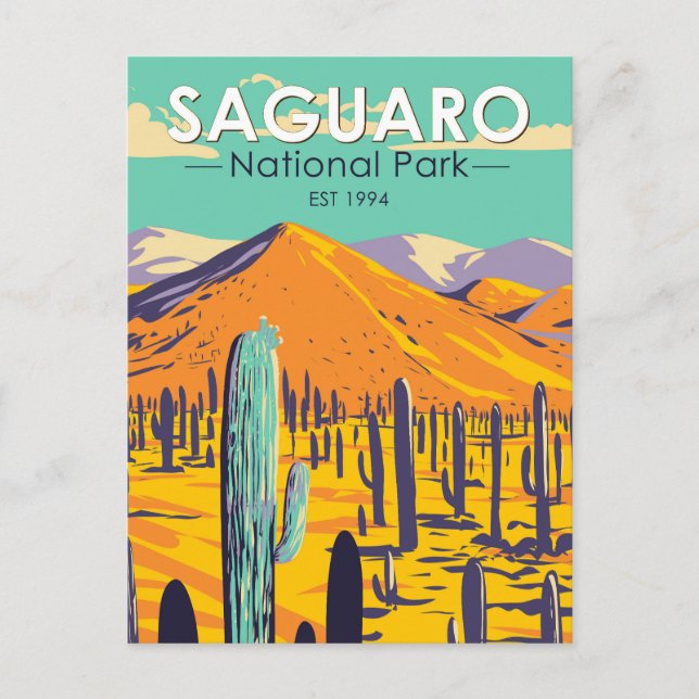 Saguaro National Park Cacti In Spring Vintage Postcard (Front)
