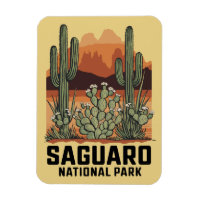 Saguaro National Park Cactus