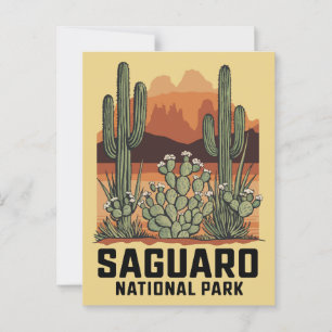 Saguaro National Park Cactus Postcard