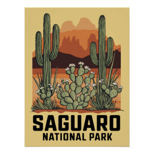 Saguaro National Park Cactus Poster