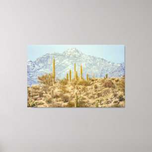 Saguaro National Park Canvas Print
