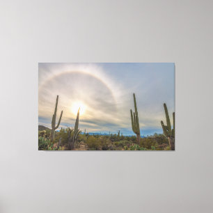 Saguaro National Park Canvas Print