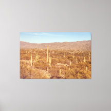 Saguaro National Park