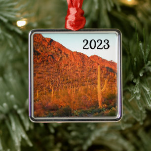 Saguaro National park Metal Ornament