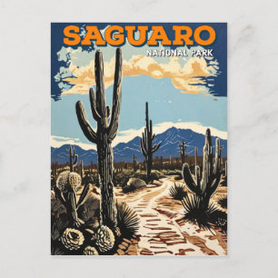 Saguaro National Park Postcard