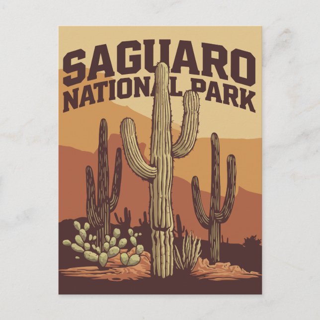 Saguaro National Park Postcard (Front)