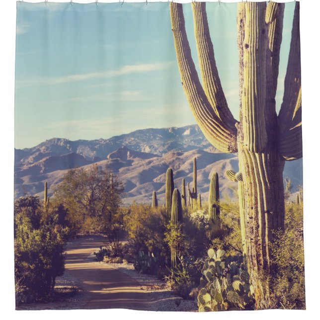 Saguaro National Park, scenic representation. (Front)