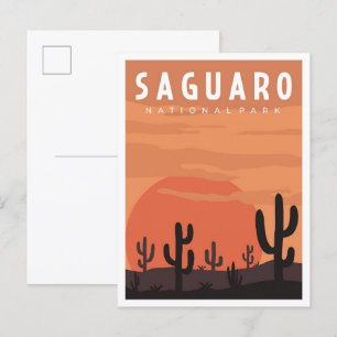 Saguaro National Park Vintage Travel Illustration Postcard