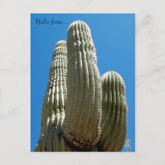 Saguaro Postcard